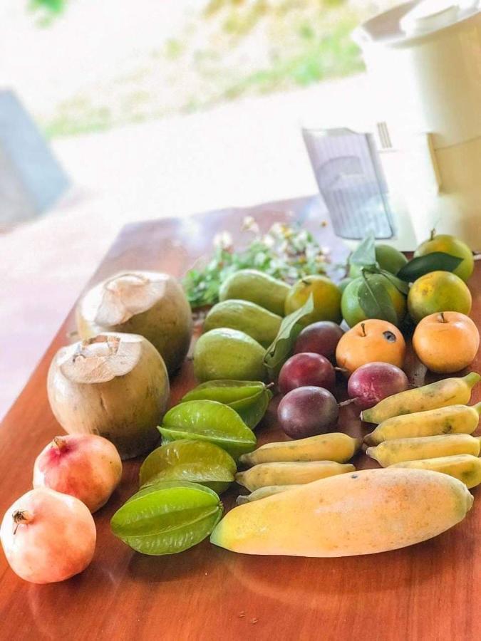 Pai Bjooc Homestay Tuyen Quang Kültér fotó