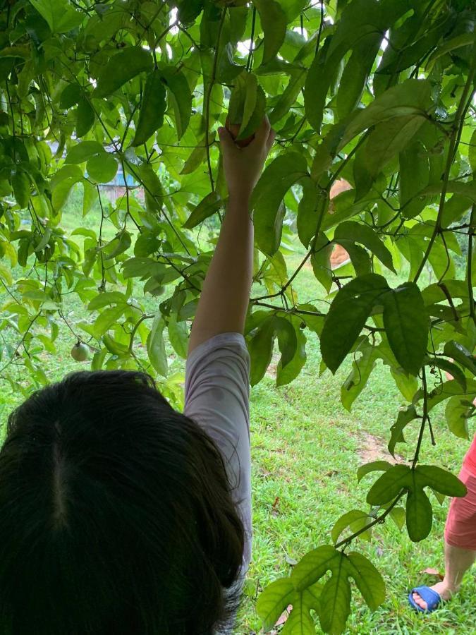 Pai Bjooc Homestay Tuyen Quang Kültér fotó