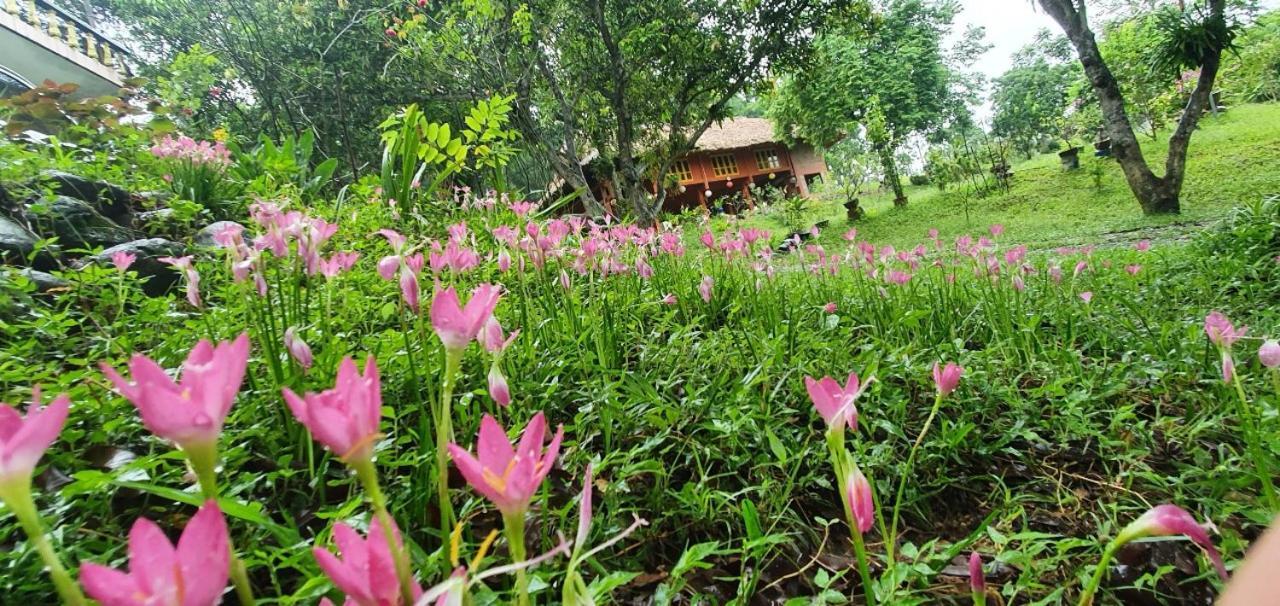 Pai Bjooc Homestay Tuyen Quang Kültér fotó