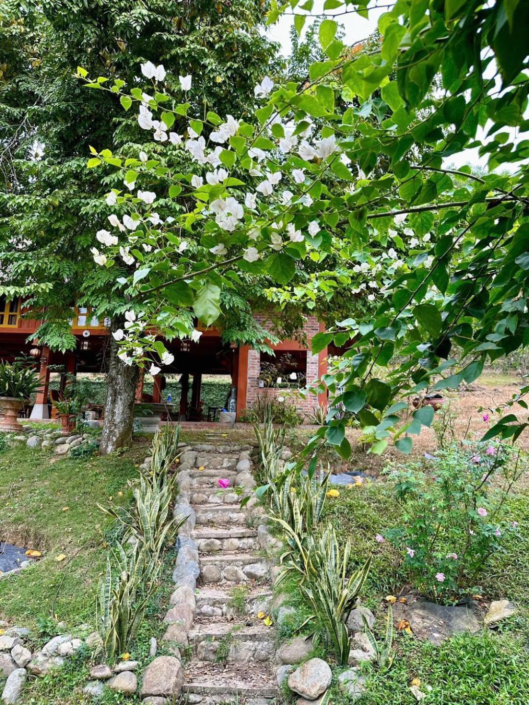 Pai Bjooc Homestay Tuyen Quang Kültér fotó