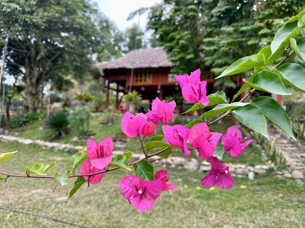 Pai Bjooc Homestay Tuyen Quang Kültér fotó